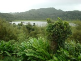 Tropisches Grün am Grand Etong Kratersee