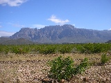 Die Kleine Karoo Wüste