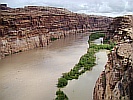 Colorado River mit Frhjahrshochwasser