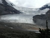 Der Athabaska Glacier hat sich schon weit zurückgezogen